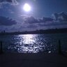 ademchatin's profile picture. ...