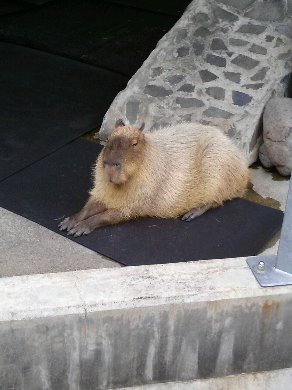 shin1_sora58's profile picture. 介護士