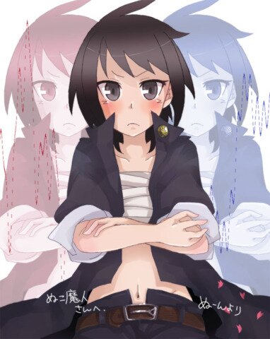 ぬこ魔人（@strollcat）のサブアカ。使い道はとくにない。