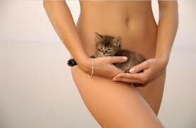 I love the female form, there is nothing more beautiful or arousing than woman in her sexy lingerie or birthday suit.