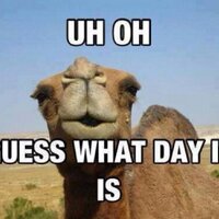Every Day, Hump Day (@humpday1872) 's Twitter Profile