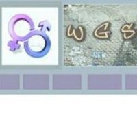 WGST Program @ BC (@wgst_bc) 's Twitter Profile