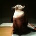Ruffin (@rooffin) Twitter profile photo