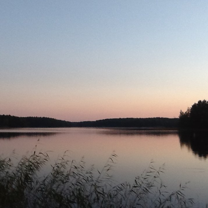 Marjo_ST's profile picture. Erikoissuunnittelija. Helsingin yliopisto/Ruralia-instituutti, MSc (Food Tech), University of Helsinki, Finland, Europe, inspired by all natural things