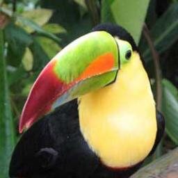 Ecomemomx's profile picture. Protectores de nuestro México