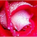 لحن الحياه (@11aa221) Twitter