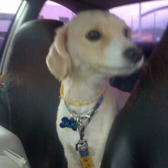 abigail88539398's profile picture. 