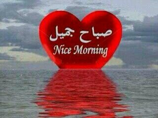 taglib20001596's profile picture. 