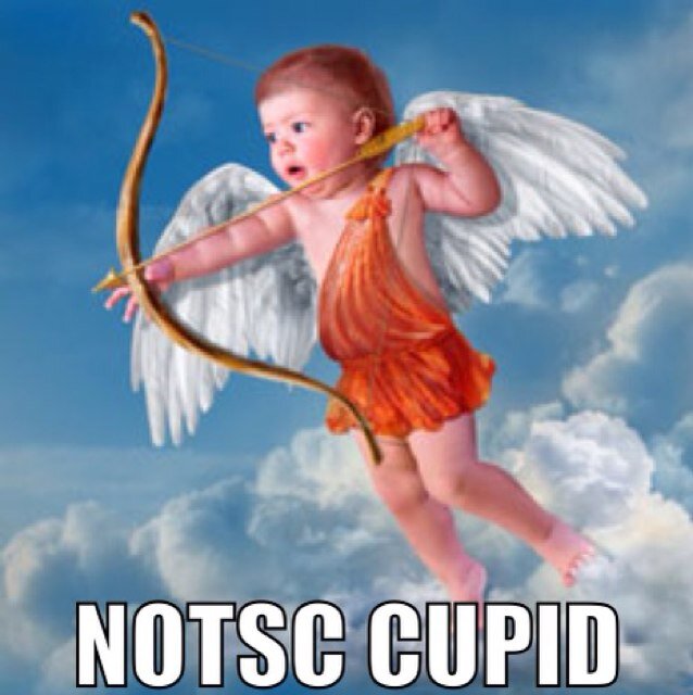 NOTSC_Cupid's profile picture. Dating page for sports fans. Need to find your sports love? Search no further! Member of the NOTSC family.