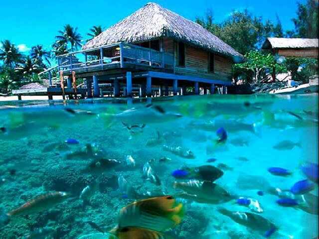 ayeshadocks's profile picture. 