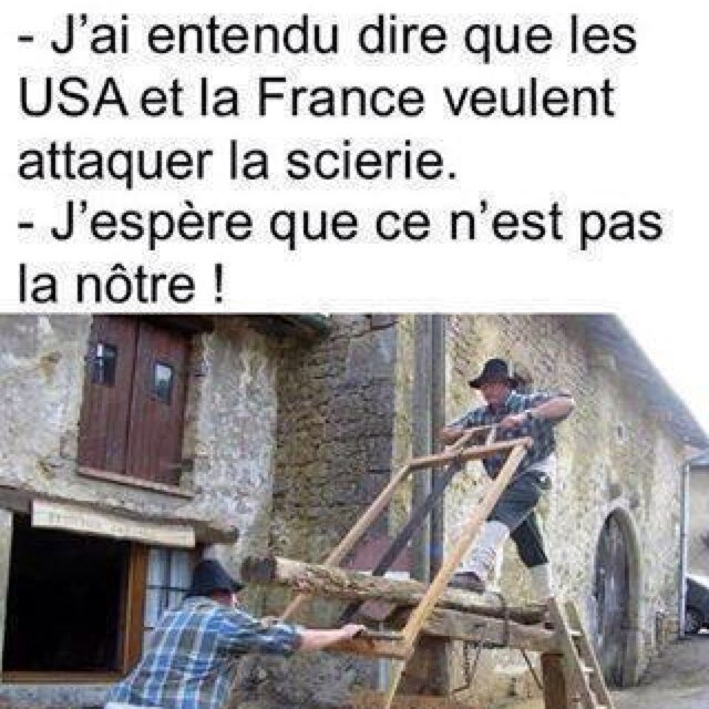 yanischamakh's profile picture. 