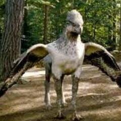 También conocido como Witherwings. Viví con @SrHagrid y otros hipogrifos, pero ahora soy libre.