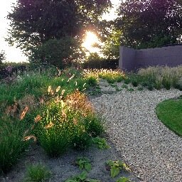 Garden designer/writer for 20yrs, now busy walking my Lancashire Heeler dogs.