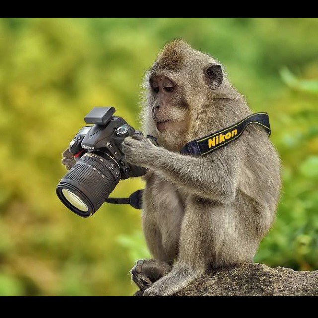 Photographer. North East uk. Don't be fooled by your emptiness, there's so much more room for happiness :)