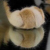 Дарина (@danuta74) 's Twitter Profile Photo Дарина (@danuta74) 's Twitter Profile Photo