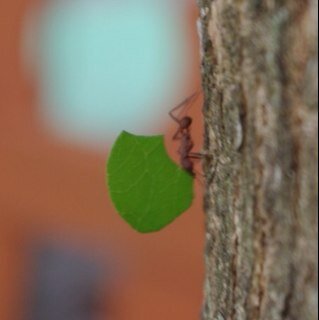 ledabbe97's profile picture. 