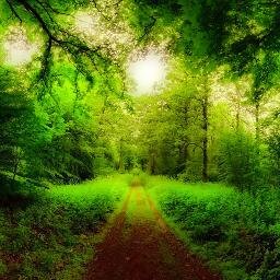 Fomentar el cuidado del ambiente, desarrollo sustentable de los recursos naturales. Proyecto Bio-Educa http://t.co/ds9Fesj66c