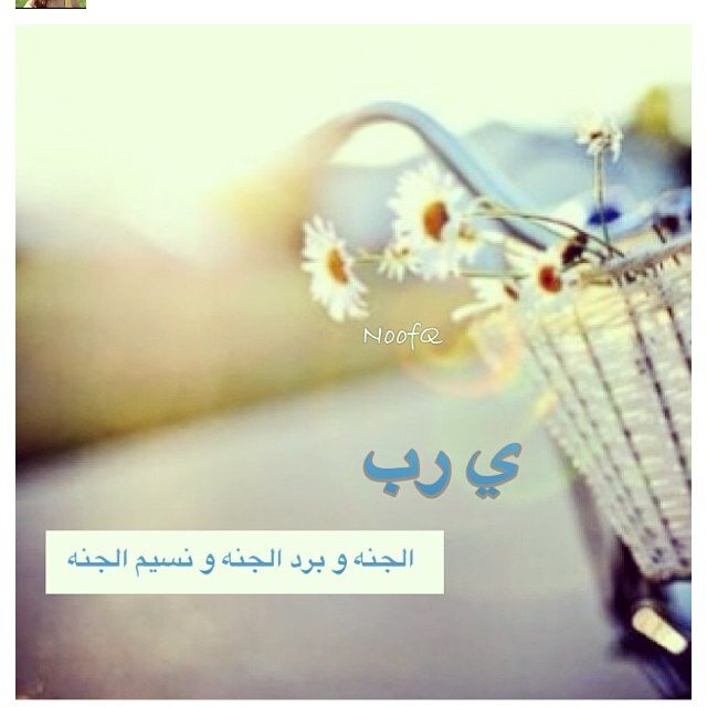 و ما ذنب الرسائل ان لم يقرأها من كتبت له !!♡. وأكره أنّي أحنّ لما كانت خيرة الله لي بأن يجعله بعيدًا عنّي