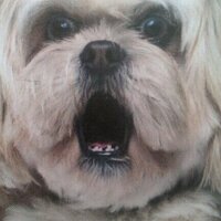 LothianNews (@newsofelothian) 's Twitter Profile