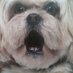 LothianNews (@newsofelothian) Twitter profile photo