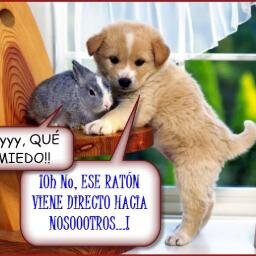 Si me sigues te sigo :)