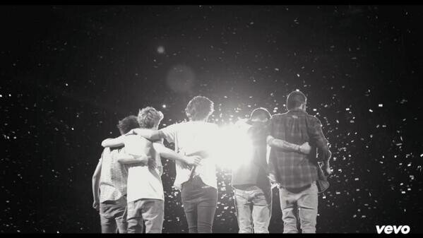 I love 1Direction. Directioner since march 2012. I haven't been there since the beginning but I support them no matter what happens, I would love to have 1/5 :)