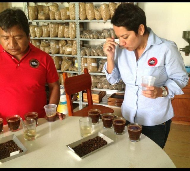 Director General Creaespresso, impulsora incansable del consumo de Cafe Mexicano y muy adicta a la Cafeína...

                 #yotomocafemexicano