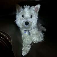 BELLADONNA SAYS... (@sassm55) 's Twitter Profile Photo