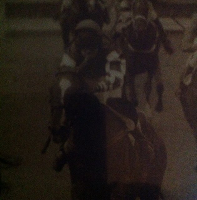 Horses, football and in play tips