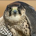 عاصم الشمري (@05505467) Twitter