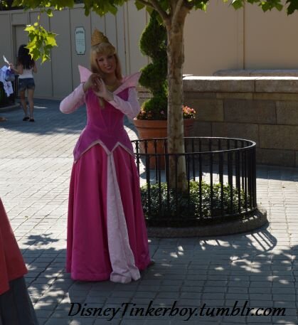 DisAuroraRose's profile picture. A kind and fun loving Princess who has just awoken from a sleeping curse. Ready to live the life I've missed and experience everything.