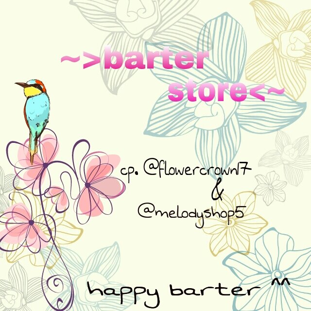 barter barang | trusted | cp. @flowercrown17 & @melodyshop5 | no. hp 089631824346 | line id elinsanhusna