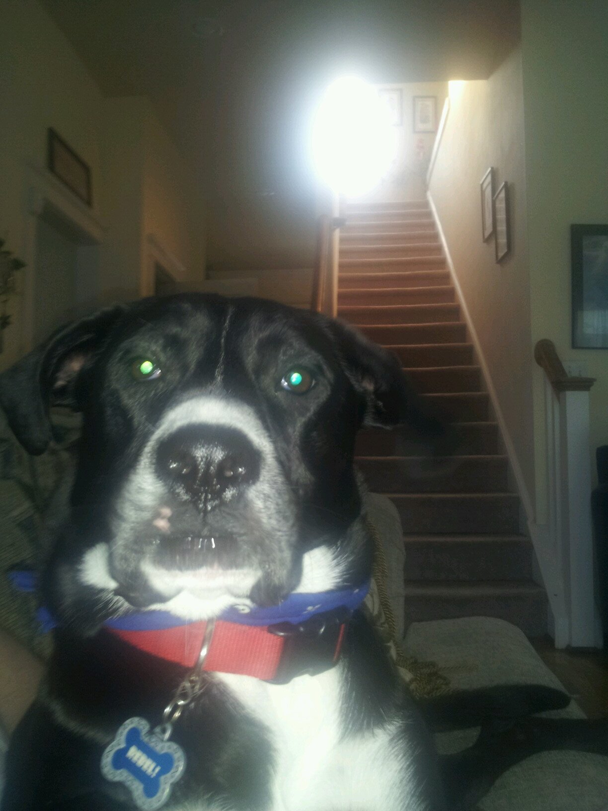 TheDailyRebs Profile Picture