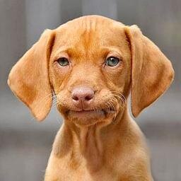 EffenU's profile picture. Chronic unemployed looser in Mpls.