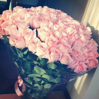Hissa_alkuwari Profile Picture
