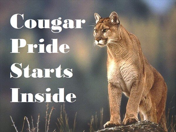 Hello GV. There is no fear I am here. I am here to support you throughout the year with anything and everything! Attack your day the Golden Valley Cougar way!