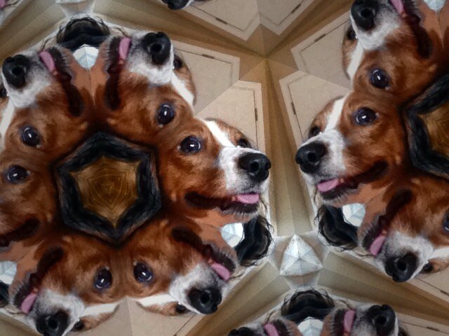 kufan2011's profile picture. 