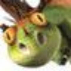 「ヒックとドラゴン」を力の限り邪推するテリブルテラー   成人済　劇場版一作目の過激派原理主義者なので取扱いには注意して下さい　あなたのストーカーかもしれませんが無言でふぁぼるだけで無害です