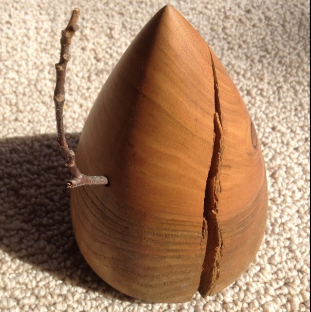 damartinello's profile picture. Creative maker- Art, Craft, Poetry.