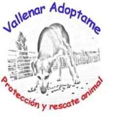 Organización Animalista no gubernamental dedicada a ayudar animales abandonados y concientizar a la ciudadanía por el trato y tenencia responsable en Vallenar