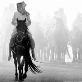 rajeh3331's profile picture. 