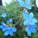 jack rossi - @jackrossi7 - Twitter