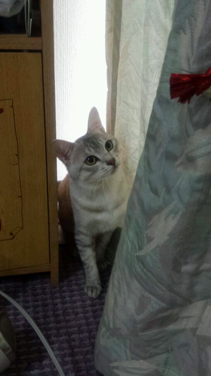 kilalarobe's profile picture. 