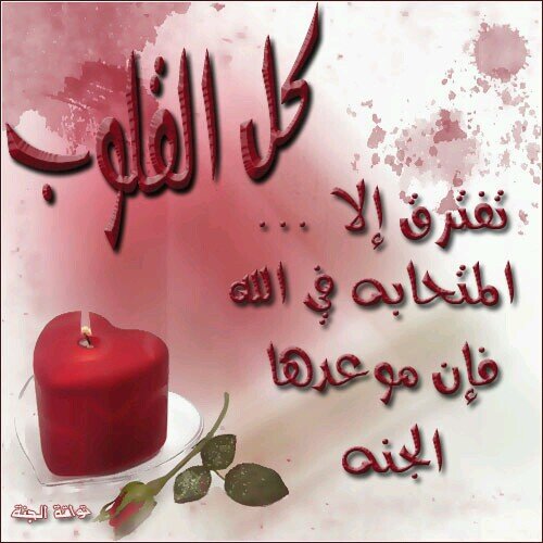 ‏‏حايل