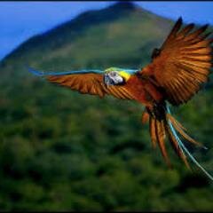 RogerCampbell13's profile picture. Ticket clerk