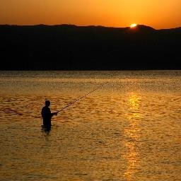 Follow us for the latest fishing tackle deals!  Website:http://t.co/sDShTLUX1D
Facebook:https://t.co/WEVx3k5znx
