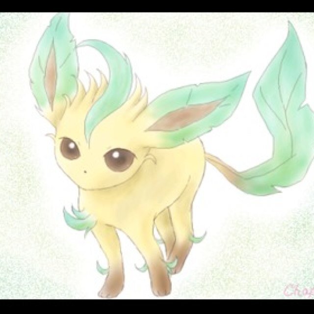 ポケモン、モンハン大好きゆう(コノハ)と申します 。ポケモン好き特にブイズ大好きな方や、鋼タイプラブの方、モンハンやってるって方、ガンランス大好きな方、どんどんフォローくださいね！一緒に楽しもうよ！