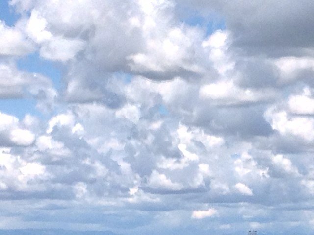 BellinAlessio's profile picture. 