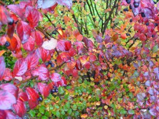 noproblems00's profile picture. 