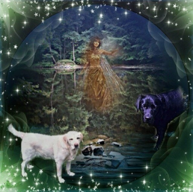 Bluewitch0302's profile picture. Heilpraktikerin